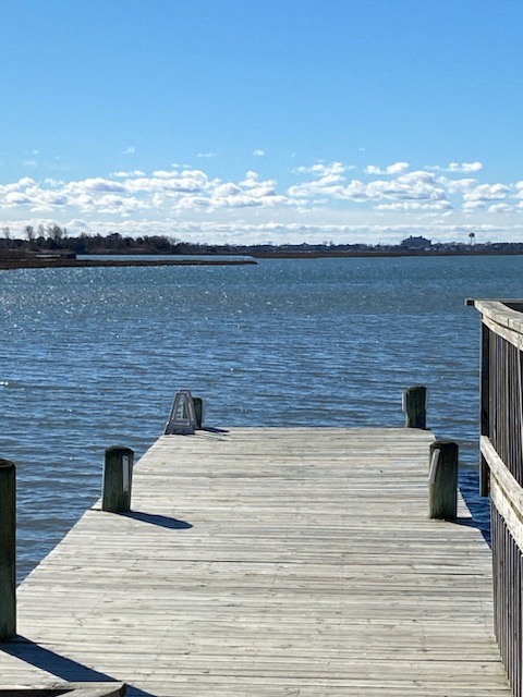Gallery Photo 27